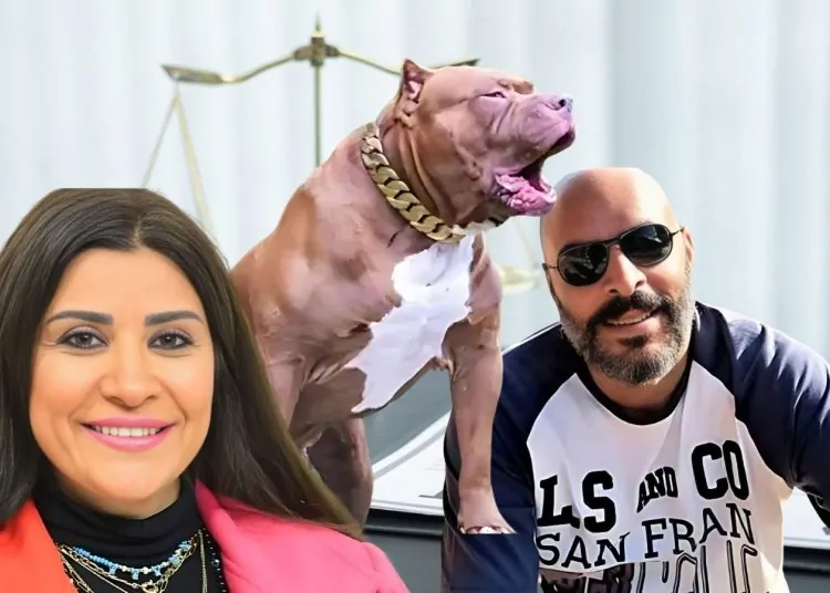 في واقعة عقر كلب.. إلزام زوج الإعلامية أميرة شنب بدفع 3 ملايين جنيه لأسرة الضحية